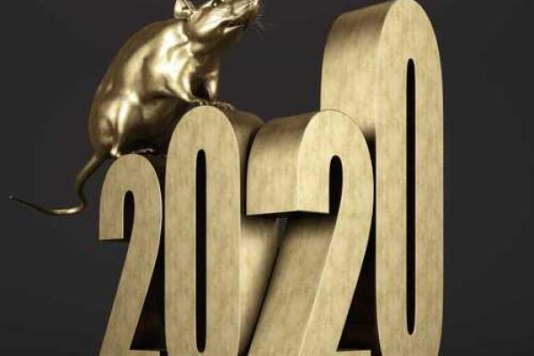 测八字：揭示命运的奥秘，男女命运的不同探究