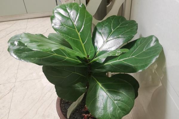 长流水命的人最怕什么？揭示土命的禁忌与注意事项！