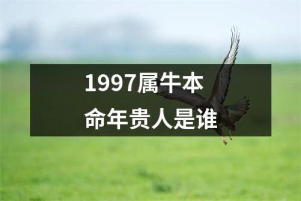 探秘1961年属牛人的命运与性格特征