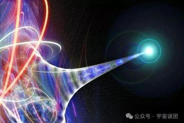 探秘命运的奥秘：节目中的生死与选择