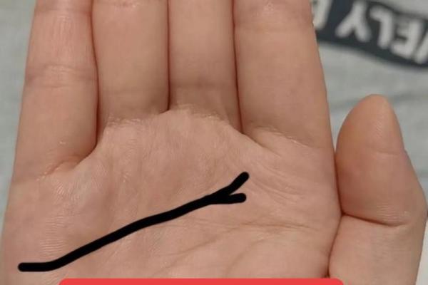 探析亡命化命仙命之道：命理的秘密与启示