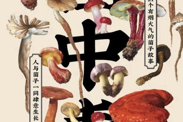 甲木命人与其他命人的最佳相配组合分析