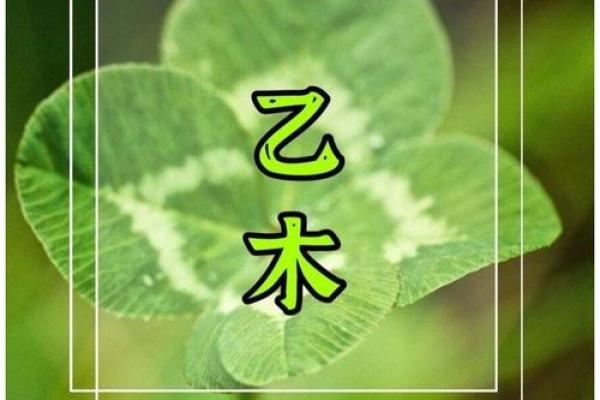乙木命与五行相生相克：最适合的命理组合解析
