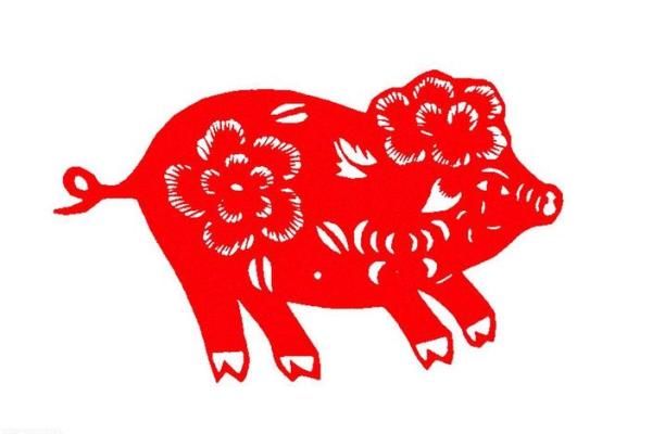 1994年属猪人的命运分析与人生指导