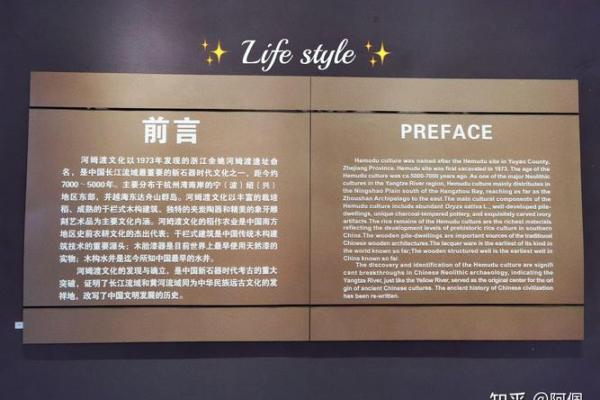 如何查询自己的出生年命，揭开命运的神秘面纱