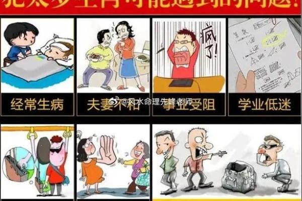 1994年属猪人的命运分析与人生指导