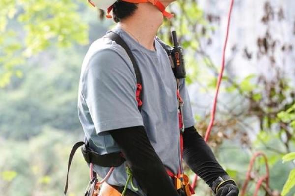 解析20030207的命理玄机：揭示人生的潜在无限可能