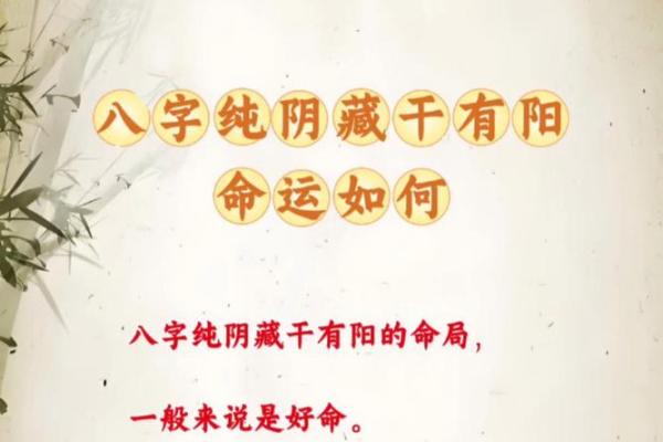 阴命与阳命：揭秘命理中的性格与命运