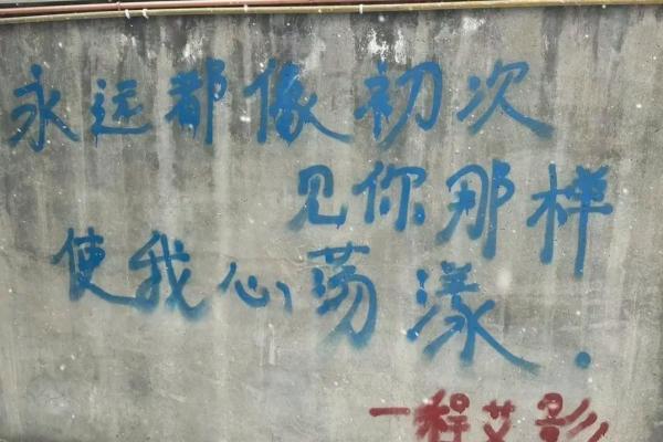 被什么打动，什么就是命——探索生活中的深刻联系