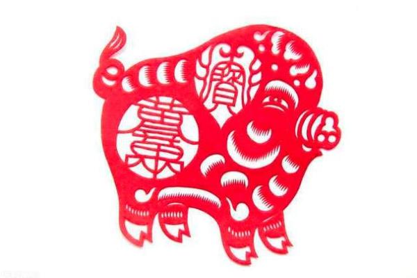 属猪的命理解析及其应用:探寻命运的密码 属猪的命理解析及其应用:探寻命运的密码