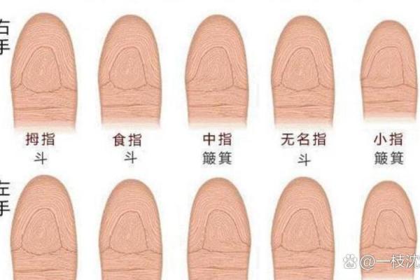 如何查自己命犯什么？揭示你命运的秘密！