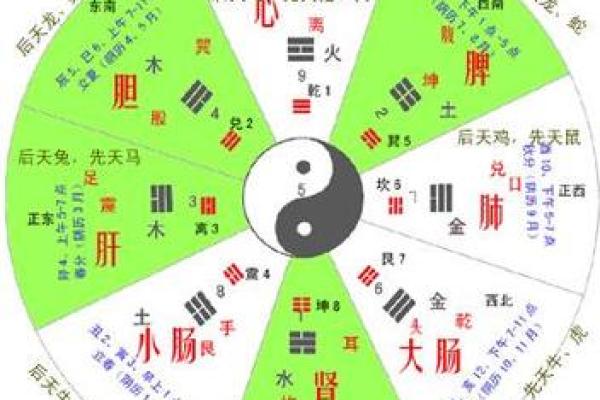 艮命西四命的奥秘：揭开风水与人生的关系