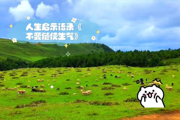 命硬加和尚命的深层意义与人生启示