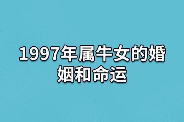 2009年出生的属牛人:命运与性格的深度解析 2009年出生的属牛人:命运与性格的深度解析