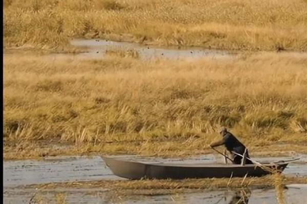 19970808的命运秘密:揭示出生日期潜藏的性格和人生轨迹 19970808的命运秘密:揭示出生日期潜藏的性格和人生轨迹