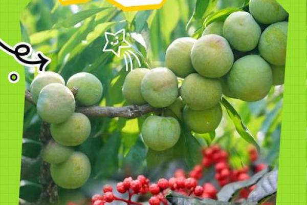 1998年5.31：那一场温暖的夏日奇遇记