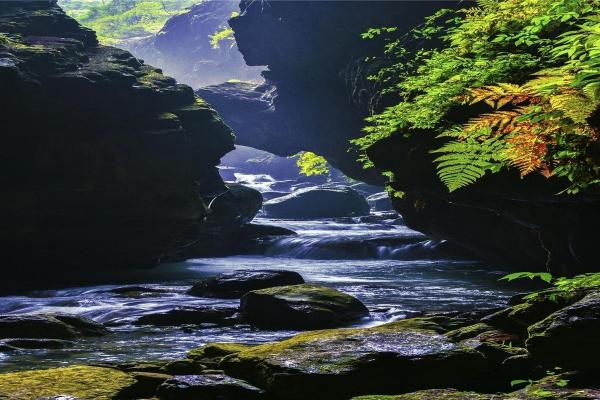 女孩三两六命：探索命理背后的神秘与魅力