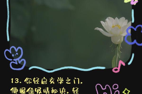 命运之轮：探寻“年”和“日”的奥秘与机遇