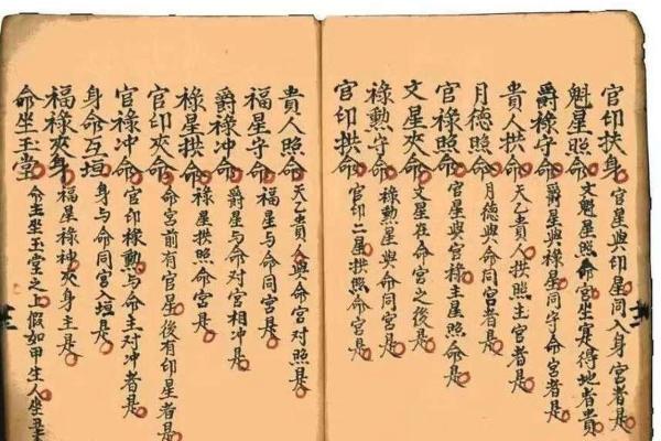 甲木命盘的最佳配对：探寻命理中的和谐美!