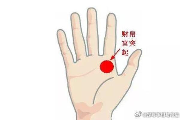 水命女人的财运解析：财富与命理的深度关联