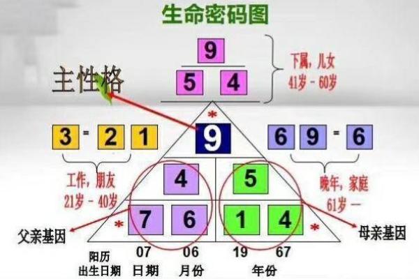 2019金命缺什么：探索金命人的生命密码与性格特征