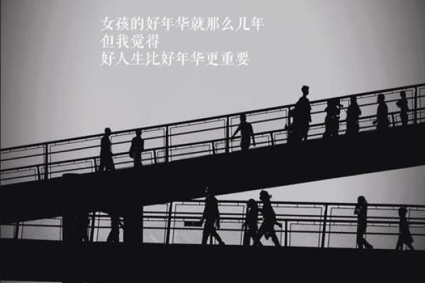 1992年出生之人命运解析：人生旅程中的光辉与挑战