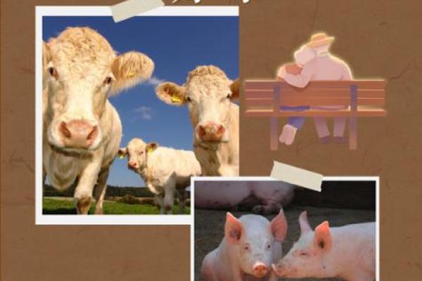 木命人的性格特征与生活态度解析