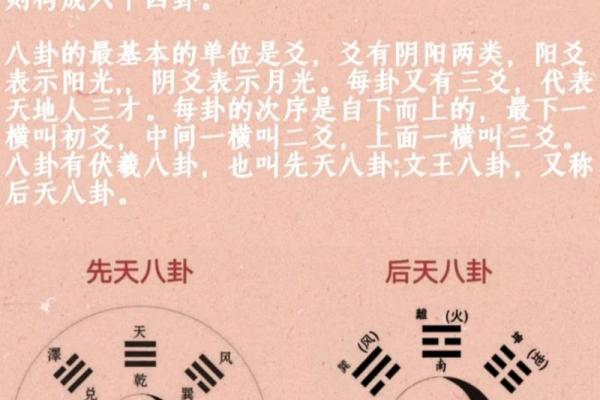 探讨女命乾命：婚姻与命运的奥秘