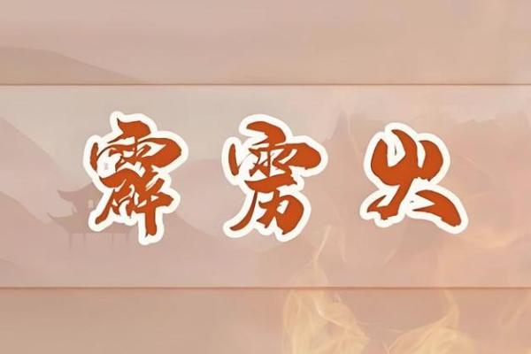 火命与其他命理的合财之道探讨 火命与其他命理的合财之道探讨