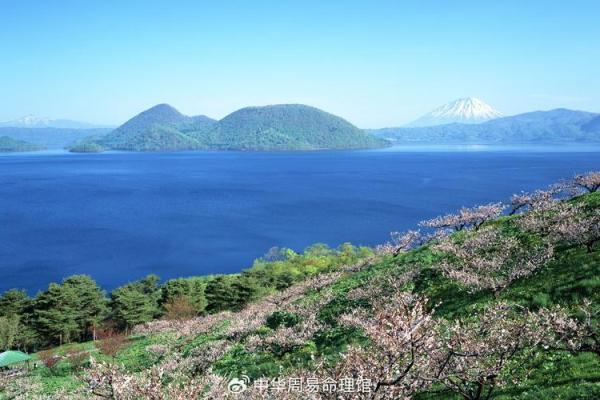 解读山下火鸡命理:生命缺失的深刻意义与启示 解读山下火鸡命理:生命缺失的深刻意义与启示