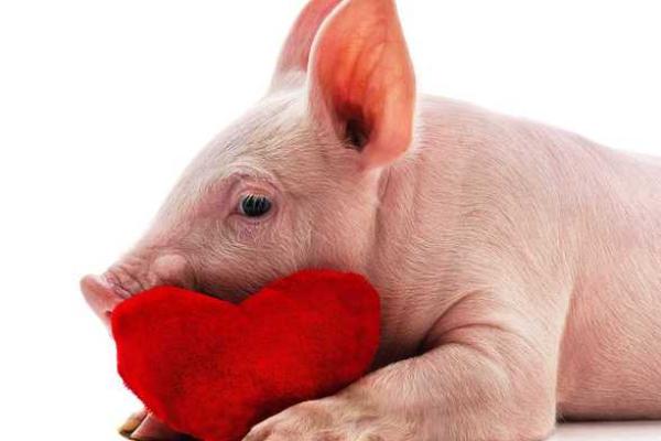 女大海水命与哪些命最合适，揭开命理神秘面纱！