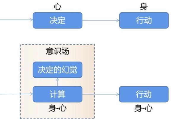 命是什么？探索命的本质与来源的深刻思考