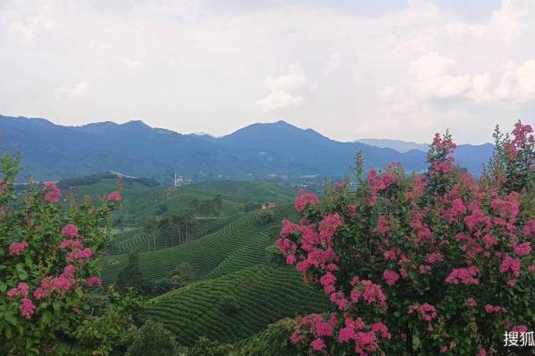 探索19881031出生命理密码:你的人生路径与性格特点 探索19881031出生命理密码:你的人生路径与性格特点