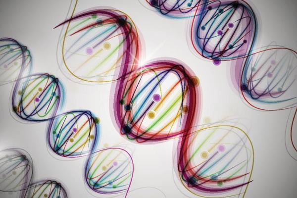 揭开2000兔年的神秘面纱:命运与性格的探索 揭开2000兔年的神秘面纱:命运与性格的探索