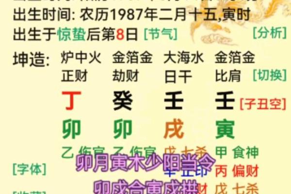 木命解析：探秘五行中木命的命理与人生机遇