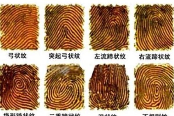 儿童指纹的独特密码:揭示命运与个性的奥秘 儿童指纹的独特密码:揭示命运与个性的奥秘