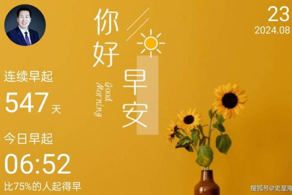 探讨木鸡之命：命格与人生的奇妙旅程