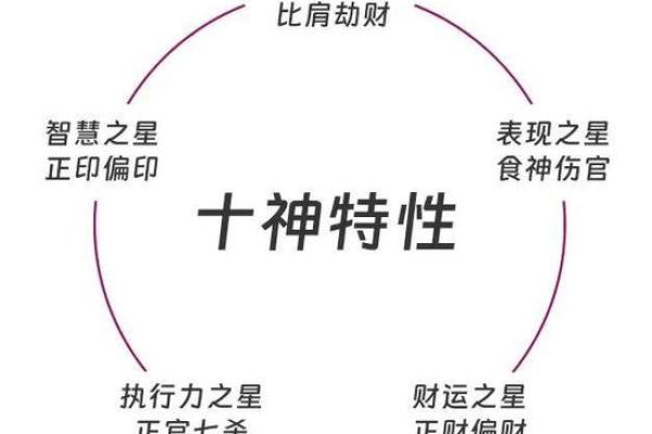 2020年猪年解析：五行八字与性格特征及运势发展