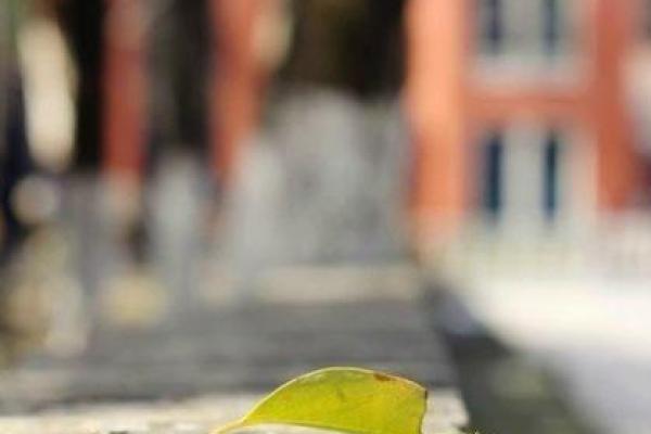 阳历7月19日出生的人命运解析与个性特征