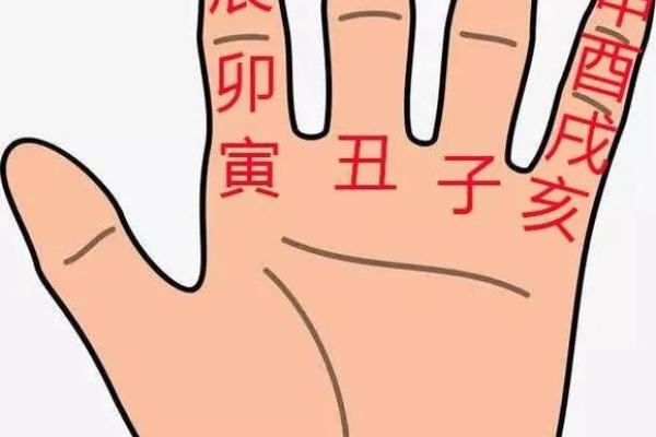 19941010出生之人：命理解析与人生启示