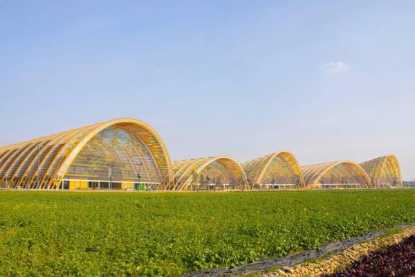 木命人最合适的结婚对象，寻觅灵魂伴侣的指南