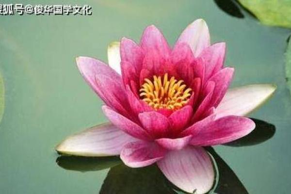 火命如何在五行中压制水命：探寻命理奥秘与调和之道