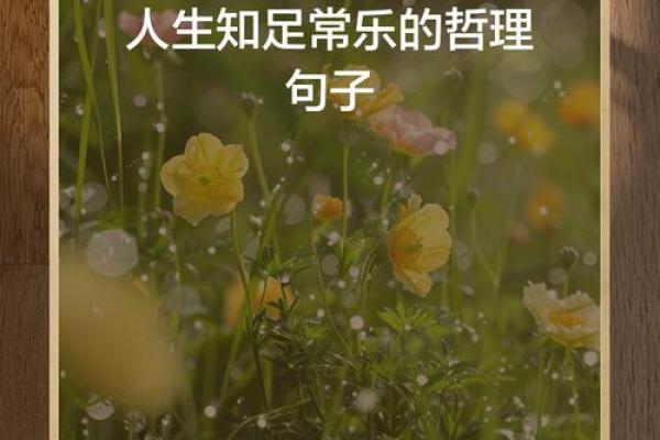 20020304的命理解析：探索你命中的秘密与人生的可能性