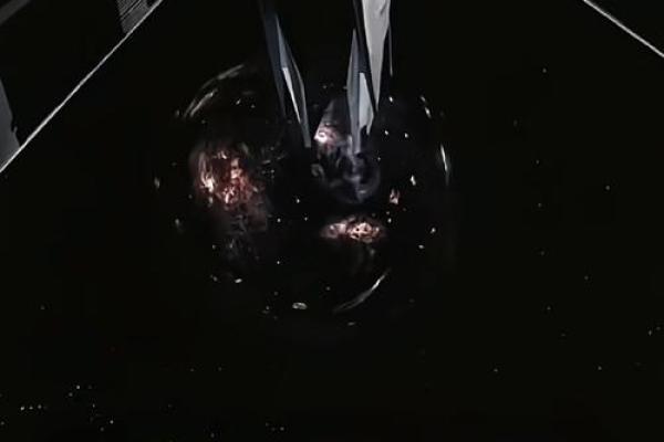 2022小老虎命运分析：探索生命中的机遇与挑战