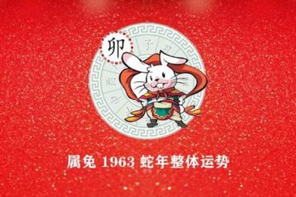 属兔1963年出生者的命运分析与生活建议