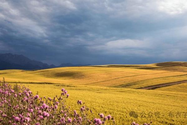 城墙土命与其他命理的奇妙搭配与比较