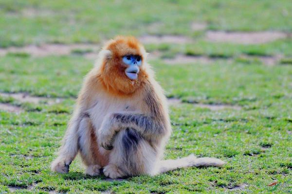 探索2031年命运:寻找新生机与机会的秘钥 探索2031年命运:寻找新生机与机会的秘钥