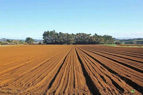 2023年兔宝宝命理分析:解密兔年孩子的命缺及其影响 2023年兔宝宝命理分析:解密兔年孩子的命缺及其影响