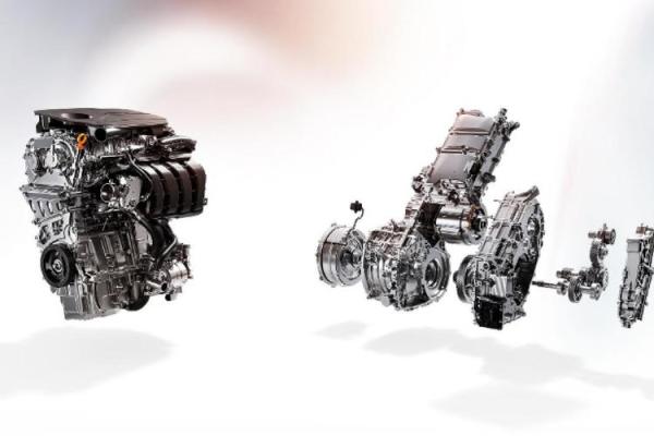 探秘“以命搏命”的背后，究竟是什么驱动着人们的极限挑战？