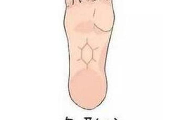 探索脚型与财富命运的神秘联系：富贵命的秘密